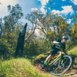 MTB Mt Beauty Mountain Bike Park Ride High Country