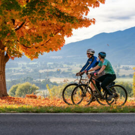 Mount Beauty Bike Path