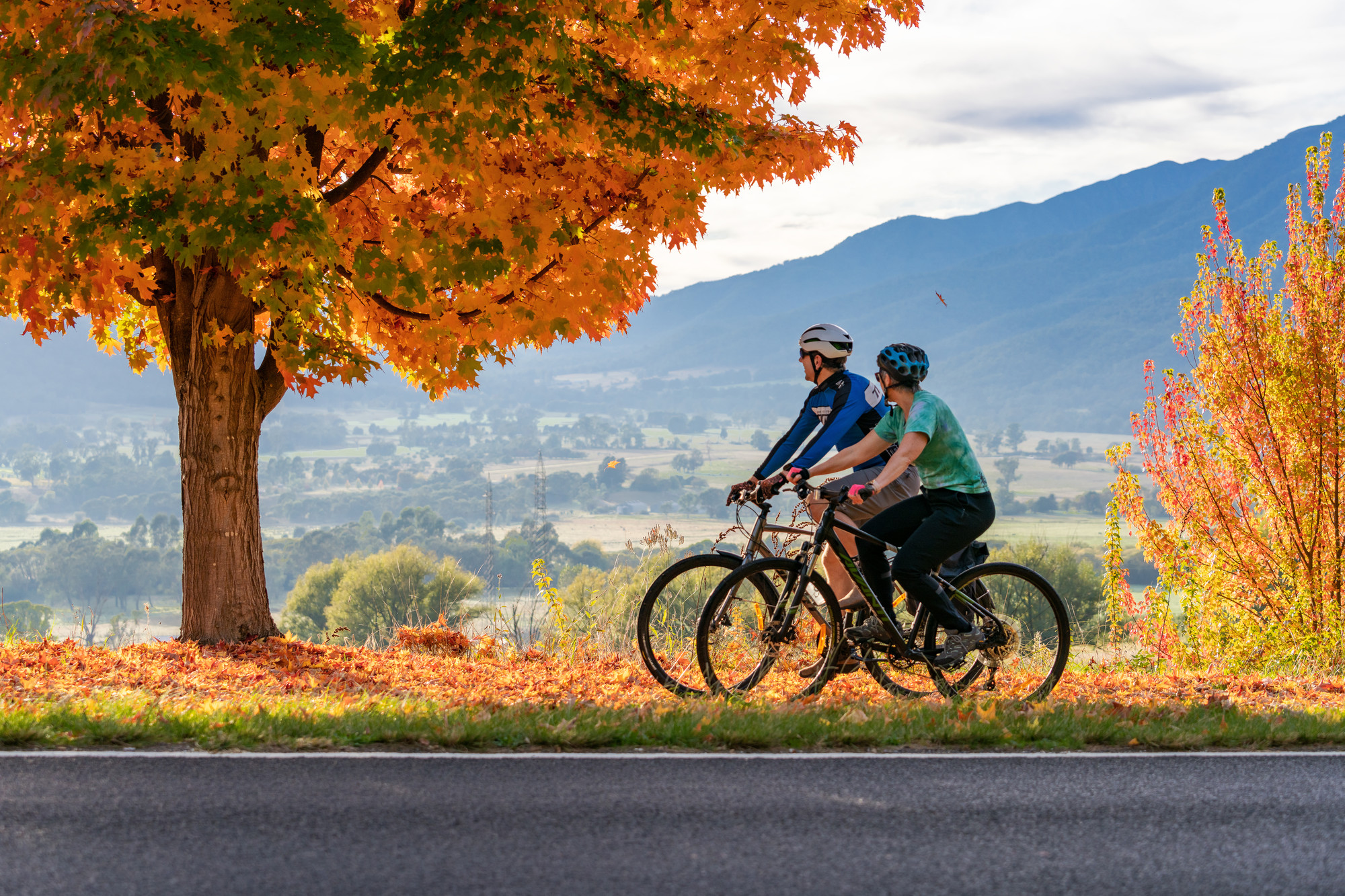 Mount Beauty Bike Path