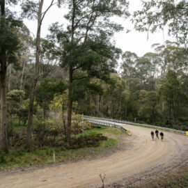 Mount Beauty and Mitta Mitta Gravel Routes - Trappers Gap