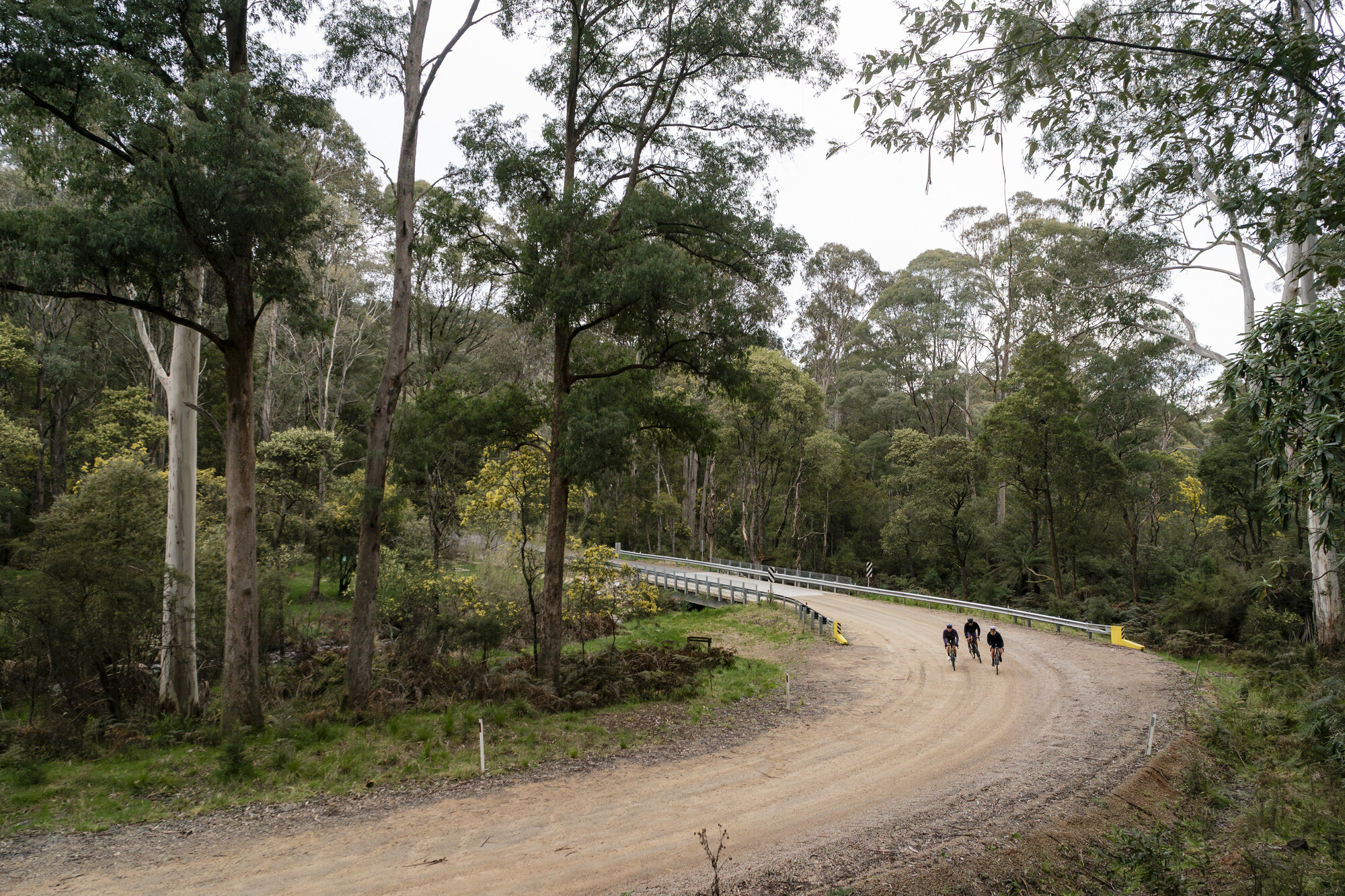 Mount Beauty and Mitta Mitta Gravel Routes - Trappers Gap