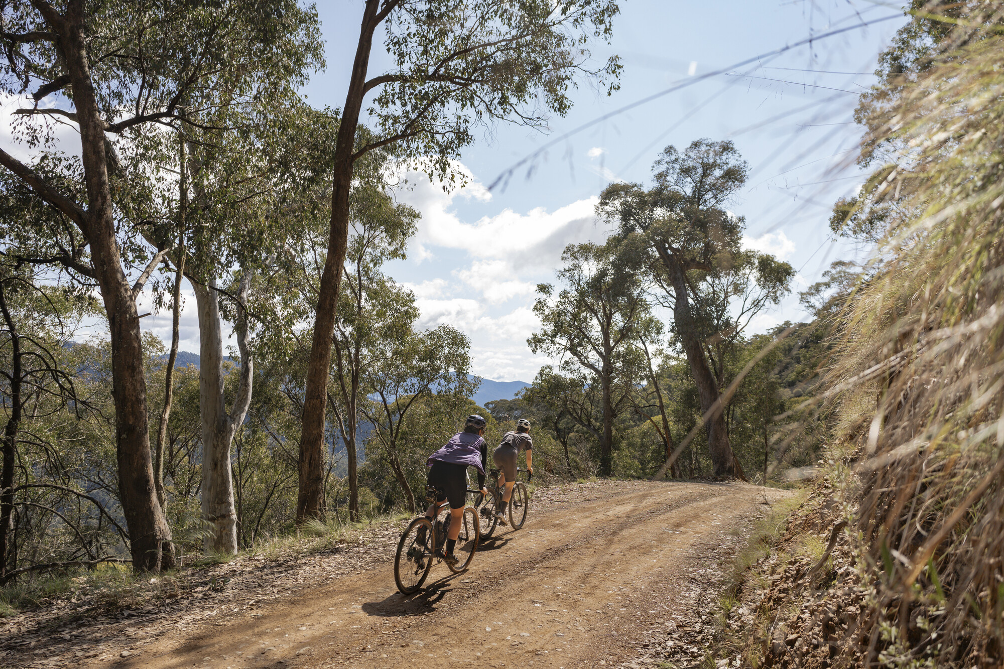 Mount Beauty Gravel Routes - Mount Beauty - Bright