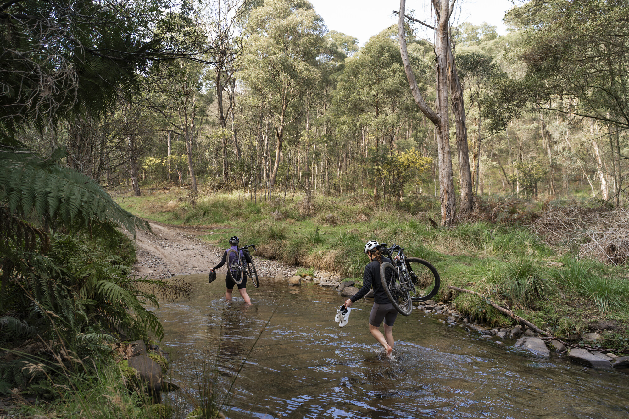 Bright Gravel Routes - Bright - Mount Beauty