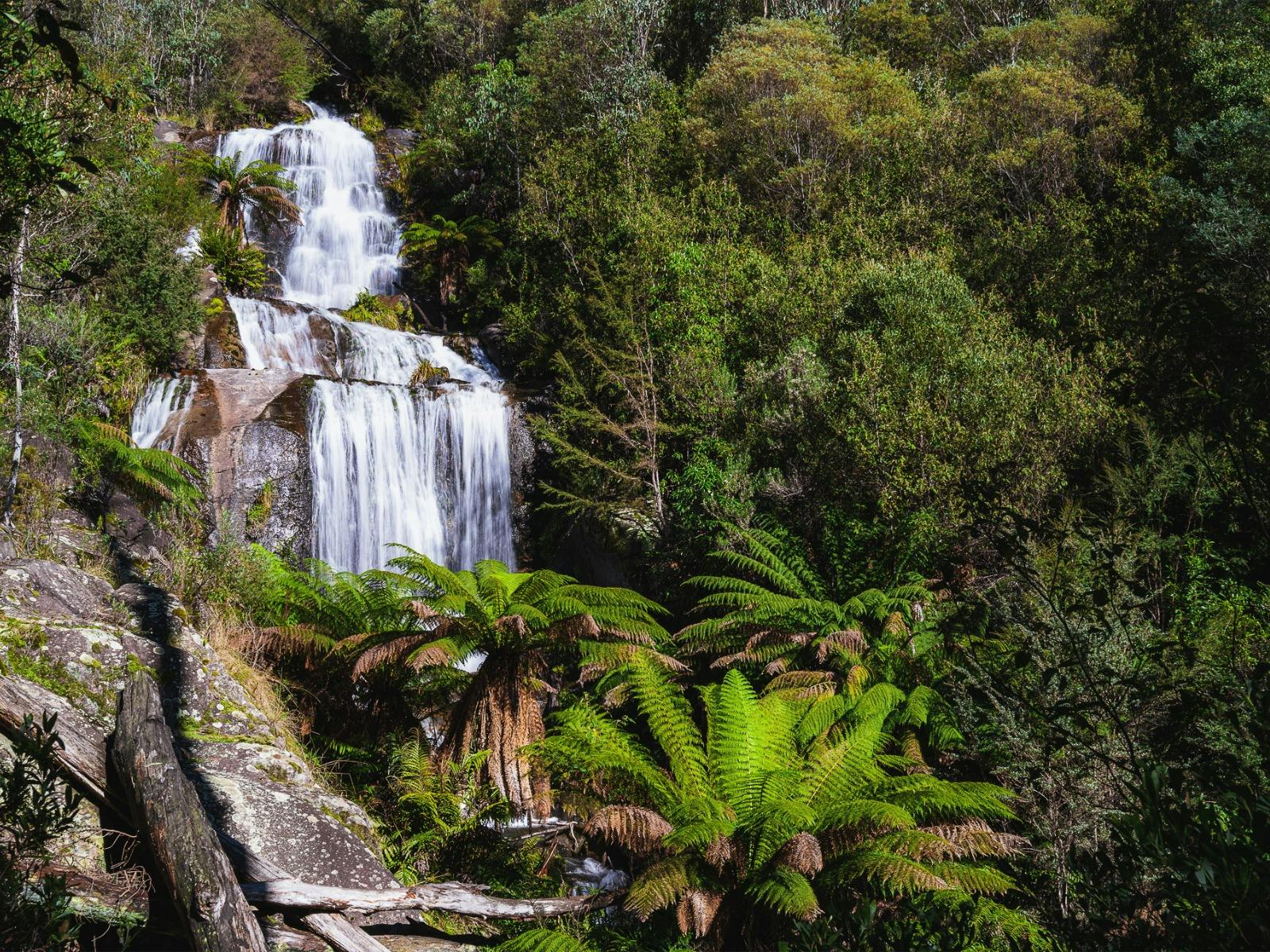 Fainter Falls